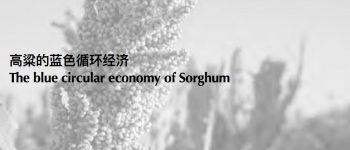 Research-and-development-space-of-3D-printing-system-for-Natural-Organic-Sorghum-Straw-Fiberi-z-z-z