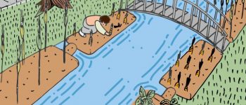 Urban-Agricultural-Terraces