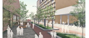 GREEN FINGERS_AKANKSHA BALPANDE